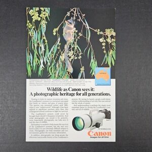 1984 Canon F1 FD 150-600mm Film Camera & Lens Vintage Print Ad Leadbeater Possum